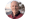 Picture of Clay Hamlin